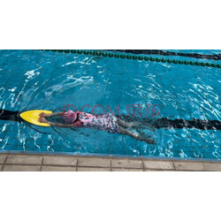 全站实时更新评论(图1)