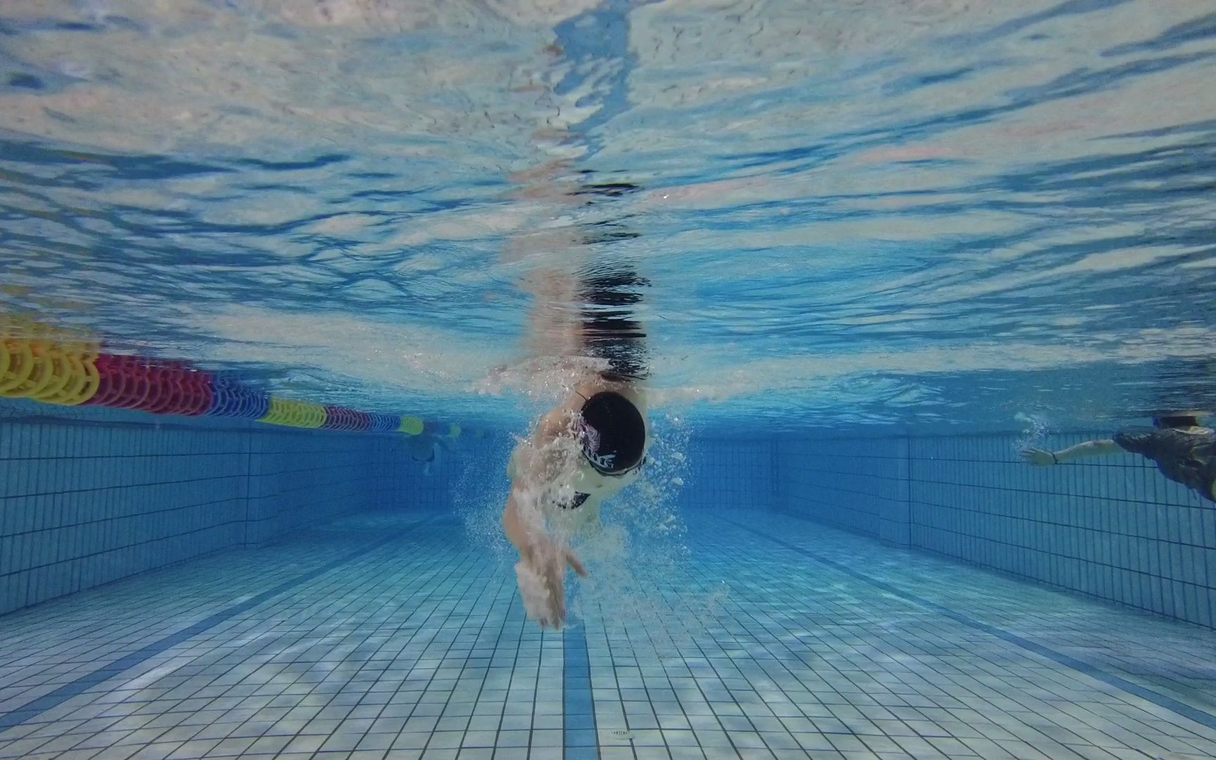 守护生命“救”在身边——游泳教学防溺水安全教育培训暨红十字精神走进校园(图1)