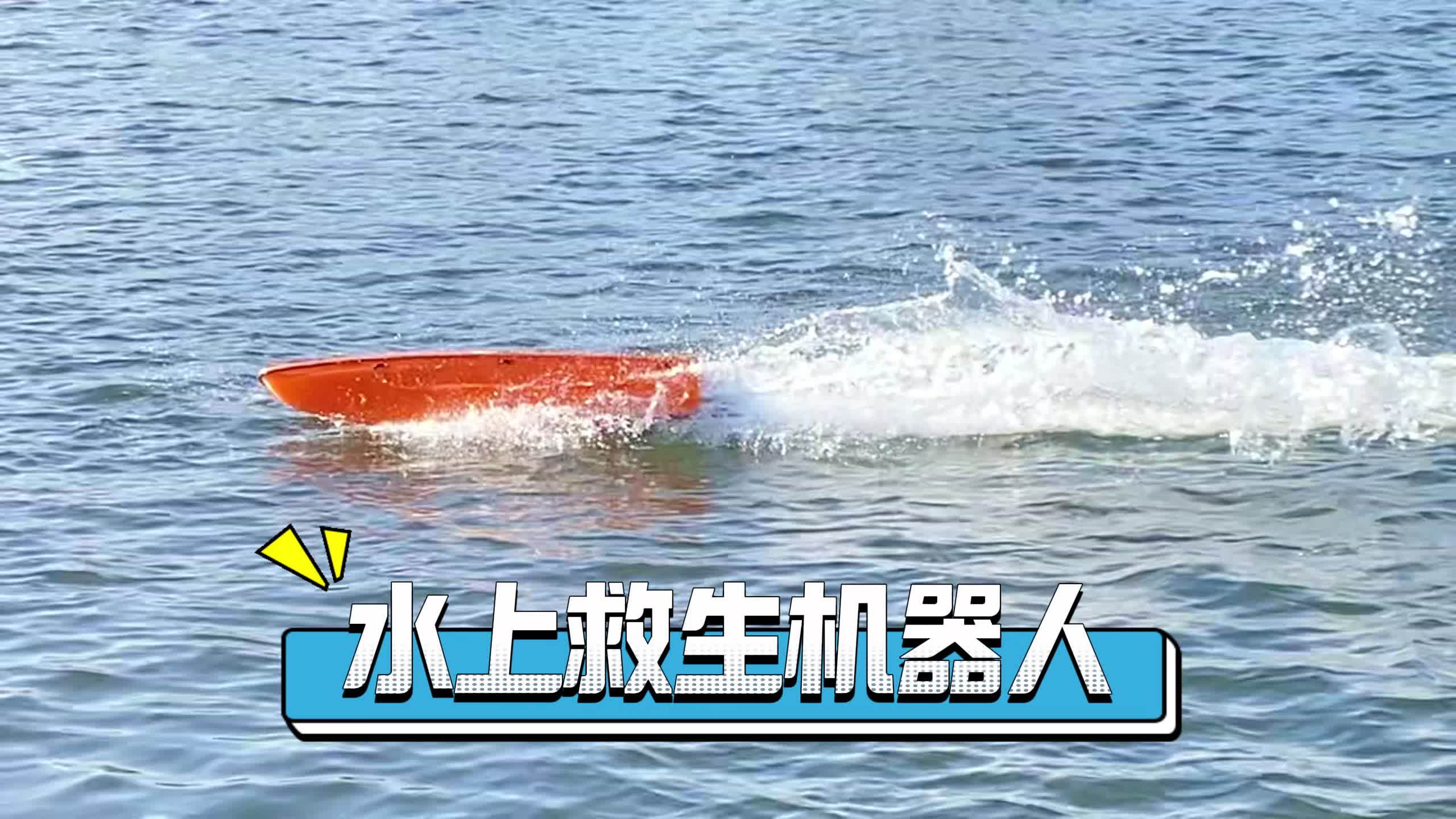 甘蔗林下打造智慧水域的“无人舰队”(图1)